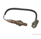 14112026 Martins O2 Oxygen Sensor