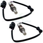 707943762971 Unbranded-generic 2pcs New O2