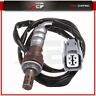 Ap06616001y Autopuppy Downstream Post Oxygen Sensor For Acura Tsx Honda Accord