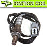 234-4363e Ig066160c Downstream Rear Oxygen Sensor For Acura Tsx Fits