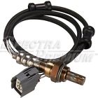Os5103 Spectra O2 Oxygen Sensor New