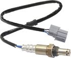 Ra31870001 Cpp Oxygen Sensor For