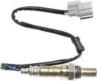 Repa960914 Cpp Oxygen Sensor For