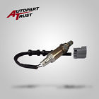 250-24446 St-24446s Autopart Trust New Replacement 743095244460
