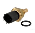 W0133-1624204 Fae New Coolant Temperature