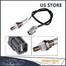Zhang00413 Catinbow Oxygen Sensor Downstream For Honda Accord Civic 666239600413