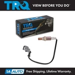 Trq Upstream Oxygen Sensor For 2005-2006 Acura Rsx Honda Cr-v 2003-2010 Element. Fixed Price $84.95.