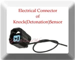 Connector Of Knock Detonation Sensor KS231 Fits: Acura Rsx Type 2002 -2006. Fixed Price $16.00.